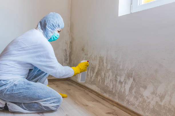 Hvac And Air Duct Mold Remediation inspection of HVAC system in Jersey City