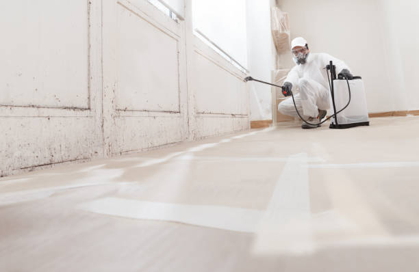 Black mold remediation team in Jersey City