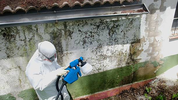 Mold Remediation service in Jersey City, Jersey City, NJ
